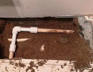 银海测漏水哪家好